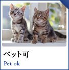ペット可物件特集